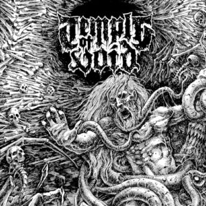 The First Ten Years - Temple Of Void (CDs)