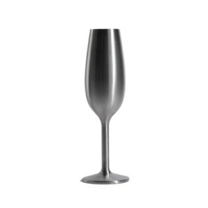 NEWPORT Stemware Collection, taça de champanhe e vinho espumante de aço inoxidável isolada a vácuo premium, copo de champanhe fino, inquebrável e as bebidas permanecem frias, base de silicone (Vinhos)