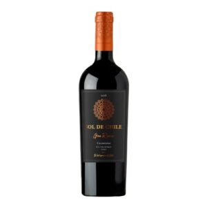 Vinho Tinto Chileno Sol de Chile Gran Reserva Carmenere 750ml (Vinhos)