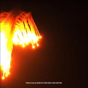 ORCHARDS OF A FUTILE HEAVEN - The Body & Dis Fig (CDs)