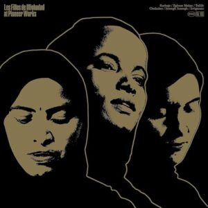 At Pioneer Works [Disco de Vinil] - Les Filles De Illighadad (Discos de Vinil)