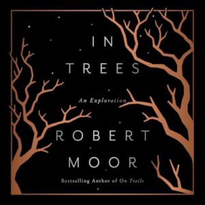 In Trees: An Exploration - Moor, Robert (CDs)