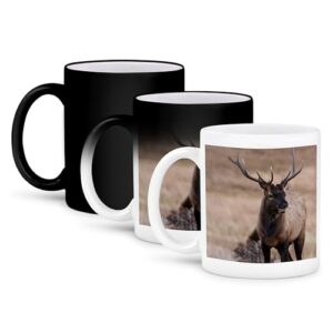 3dRose Colorado - Bull Elk ou Wapiti Caneca mágica transformadora de 325 ml (Cervejas)