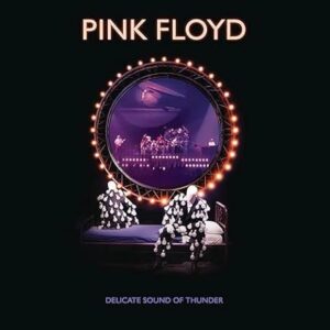 Delicate Sound Of Thunder [2 CD] - Pink Floyd (CDs)