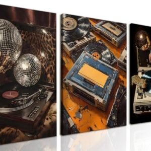 Conjunto de 3 arte de parede com música moderna para meninas, imagens de decoração de parede de disco de vinil vintage, moda guepardo, leopardo, discoteca, mulher negra, pôster, pintura em tela, para (Discos de Vinil)