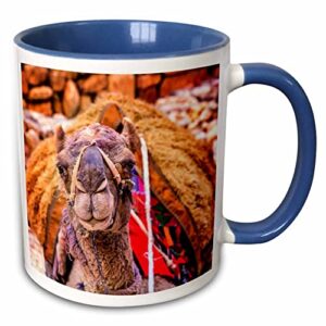 3dRose Camelo descansando em Petra depois de dar passeios aos turistas, Jordan. Caneca azul de dois tons de 325 ml (Cervejas)