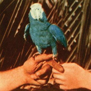 Are You Serious [2 CD][Deluxe Edition] - Andrew Bird (CDs)