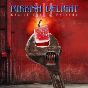 Turkish Delight Volume Three (Various Artists) - Various Artists (CDs)