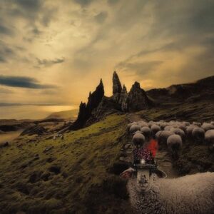 Sheeple - Carducci, Franck (CDs)