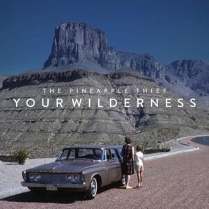 Your Wilderness (CDs)