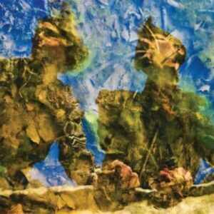 Waterdrawn - HORSE's HA (CDs)