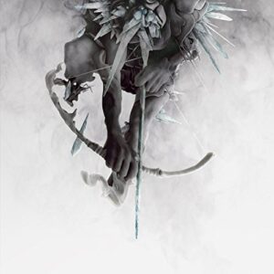 The Hunting Party by Linkin Park (2014-08-03) - Linkin Park (CDs)