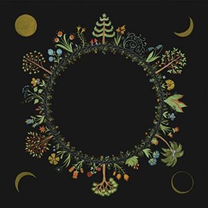 Wheel - Stevenson, Laura (CDs)