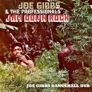 Jam Down Rock: Joe Gibbs Dancehall Dub - Joe Gibbs & the Professionals (CDs)