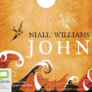 John [Audio] - Williams, Niall (CDs)