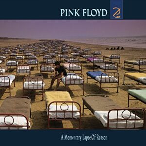A Momentary Lapse of Reason - Santana (CDs)