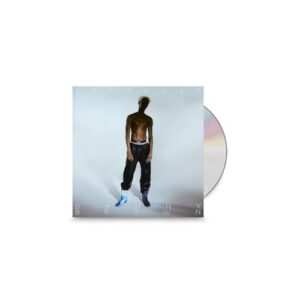 Stardust[国内流通仕様盤CD／解説書封入](BRWP393) - Danny Brown (CDs)