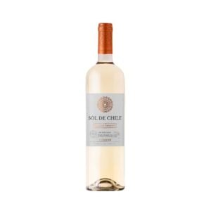 Vinho Branco Chileno Sol de Chile Varietal Viognier 750ml (Vinhos)