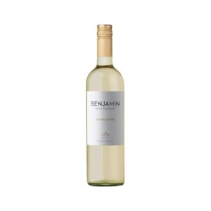 Vinho Argentino Benjamin Nieto Torrontes 2018 Nieto Torrontés (Vinhos)
