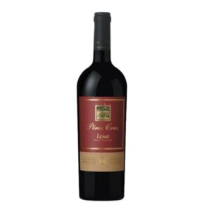 Vinho Tinto Chileno Perez Cruz Liguai 750ml (Vinhos)