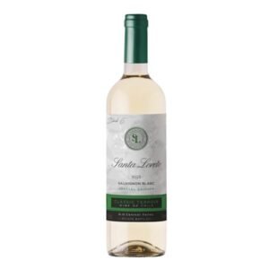 Vinho Branco Chileno Santa Loreto Sauvignon Blanc 750ml (Vinhos)