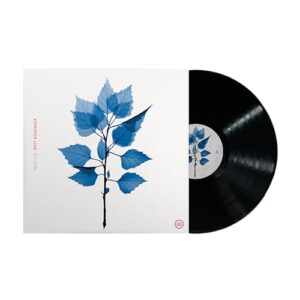 Get Sunk [VINYL]