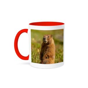 3dRose EUA, Colorado, San Juan Mountains. Close-up de marmota de barriga amarela. Caneca vermelha de dois tons de 325 ml (Cervejas)