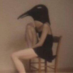 Penguin Cafe Orchestra -tribute- (CDs)