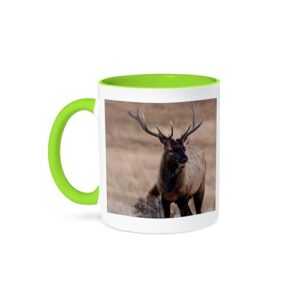 3dRose Colorado - Bull Elk ou Wapiti 425 g Caneca verde em dois tons (Cervejas)