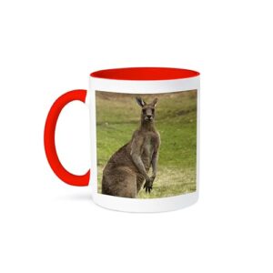 3dRose Kangaroo, Trial Bay, New South Wales, Austrália-AU01 DWA3698 - David Wall 325 ml Caneca vermelha em dois tons (Cervejas)