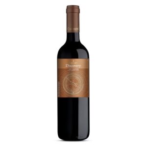Vinho Tinto Chileno Carmen Discovery Carmenere 750 Ml (Vinhos)