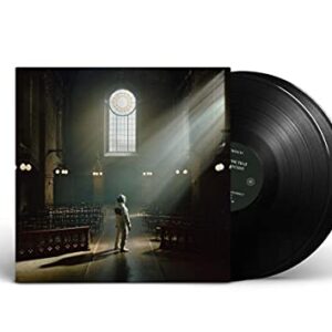 For Those That Wish To Exist (2LP) [VINYL] - Architects (CDs)