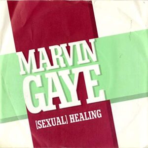 (Sexual) Healing - P/S - Marvin Gaye (Discos de Vinil)