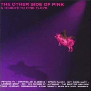 Other Side of Pink: Tribute to Pink Floyd - Other Side of Pink-Pink Flo (CDs)