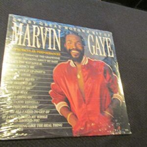 Every Great Motown Hit of Marvin Gaye - Marvin Gaye (Discos de Vinil)