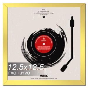 Fxojyvo Moldura de disco de vinil para exibição de parede, moldura dourada de 30 x 30 cm para qualquer disco de LP de 30 cm com capa - 1 pacote/dourado (Discos de Vinil)