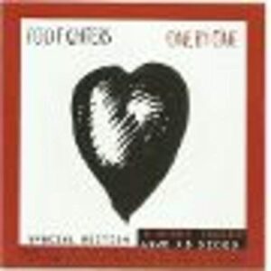FOO FIGHTERS - ONE BY ONE/ED. ESPECI - Foo Fighters (CDs)