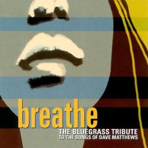 Tribute to Dave Matthews: Breathe - Various Artists (CDs)
