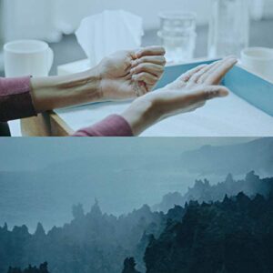 Island of the Hungry Ghosts - Aaron Cupples (Discos de Vinil)
