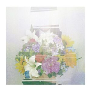 NATSUKUSA GA JAMA WO SURU - YORUSHIKA (CDs)