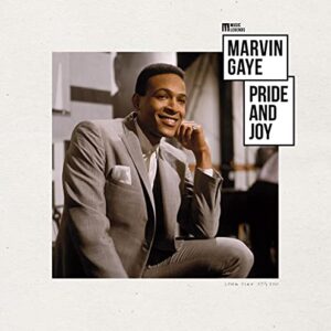 PRIDE AND JOY [12 inch Analog] - MARVIN GAYE (Discos de Vinil)