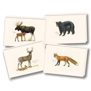 Steven M. Lewers – Cartão de anotações de mamíferos sortidos (CDs)