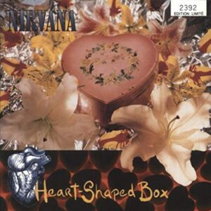 Heart Shaped Box - Red Vinyl - Nirvana (Discos de Vinil)
