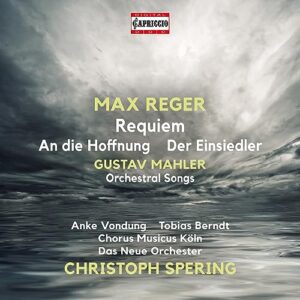 Orchestral Songs - Mahler / Reger / Das Neue Orchester (CDs)