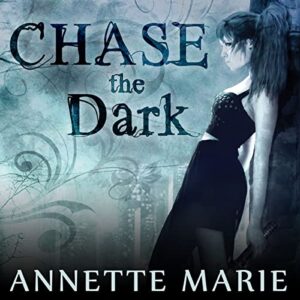 Chase the Dark: Book One of the Steel & Stone Series: 1 - Marie, Annette (CDs)