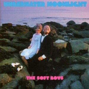 Underwater Moonlight - The Soft Boys (CDs)