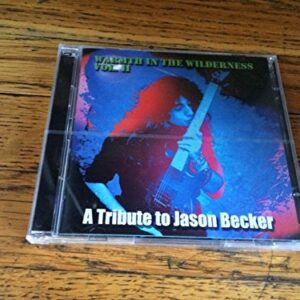 Warmth in the wilderness VOL. II - Various Artists (CDs)