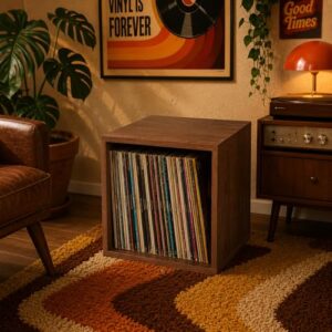 Nicho Premium Amadeirado Para Discos de Vinil LP (Equipamentos)