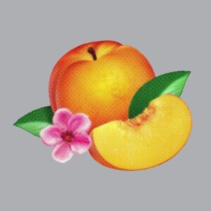 Bankrupt! [CD] - Phoenix (CDs)