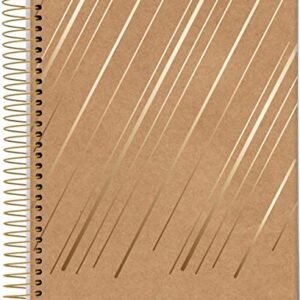 Caderno Espiral Univ CD 1 Matéria 80 Fls Kraft Gold Riscos Diagonais Jandaia (CDs)